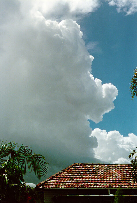 thunderstorm cumulonimbus_calvus : Ballina, NSW   1 January 1989