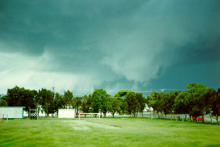 wallcloud thunderstorm_wall_cloud : Ballina, NSW   19 January 1989