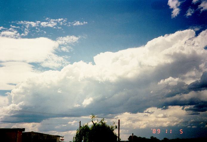 thunderstorm cumulonimbus_calvus : Schofields, NSW   5 November 1989