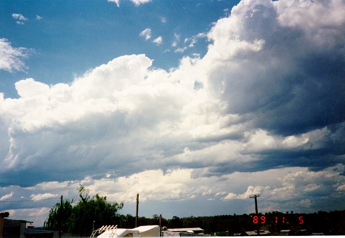 thunderstorm cumulonimbus_calvus : Schofields, NSW   5 November 1989