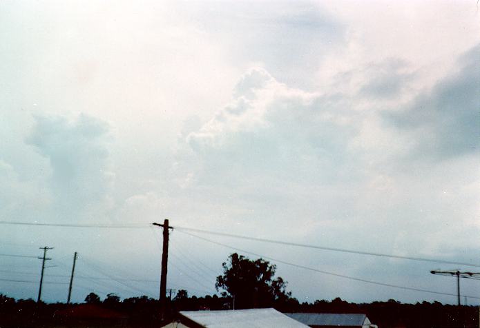 thunderstorm cumulonimbus_calvus : Schofields, NSW   23 February 1990