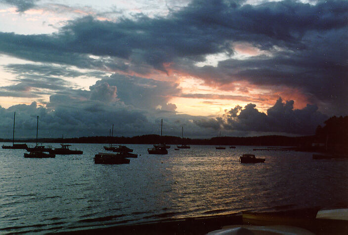 thunderstorm cumulonimbus_calvus : Lake Macquarie, NSW   24 February 1990