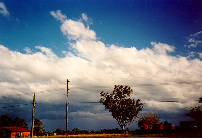 thunderstorm cumulonimbus_calvus : Schofields, NSW   5 August 1990