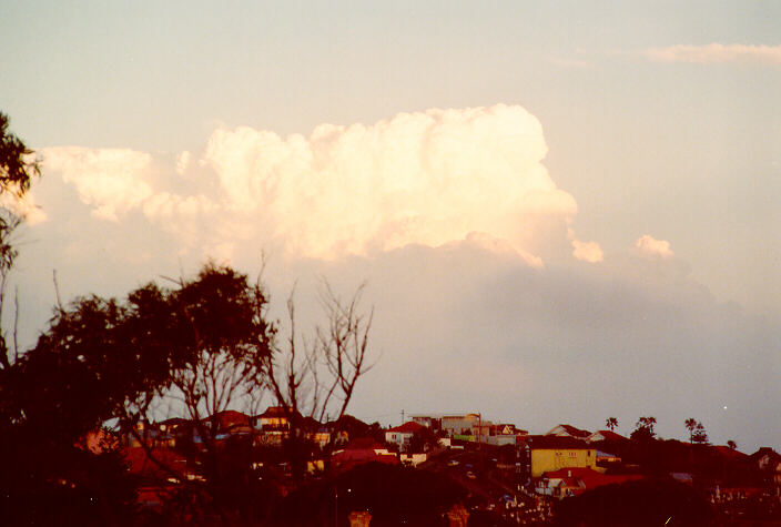 thunderstorm cumulonimbus_calvus : Coogee, NSW   11 October 1990