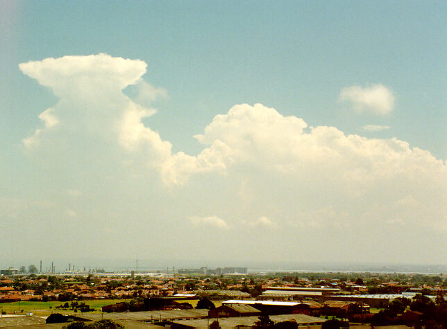 thunderstorm cumulonimbus_calvus : Coogee, NSW   18 January 1991