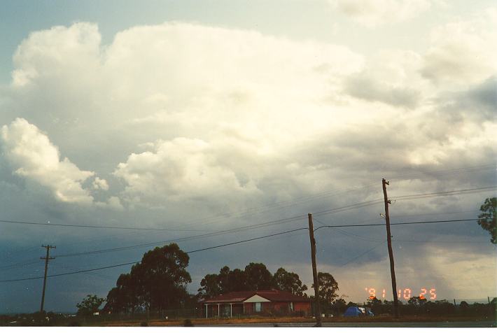 thunderstorm cumulonimbus_calvus : Schofields, NSW   25 October 1991