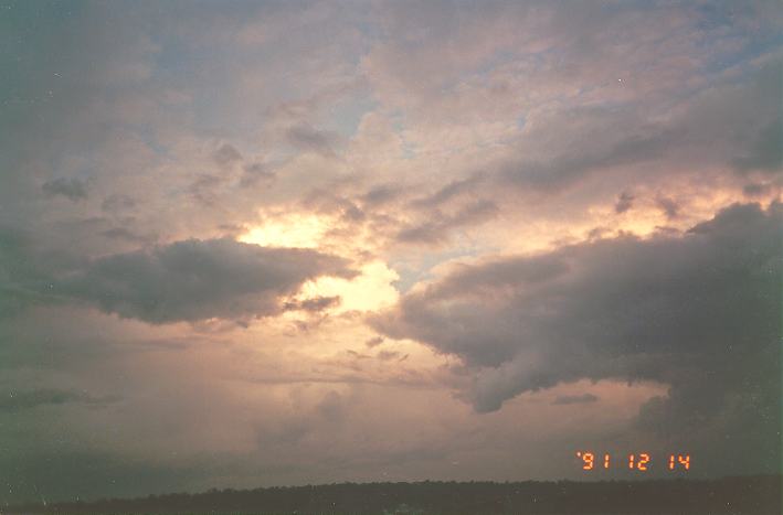 thunderstorm cumulonimbus_calvus : Schofields, NSW   14 December 1991