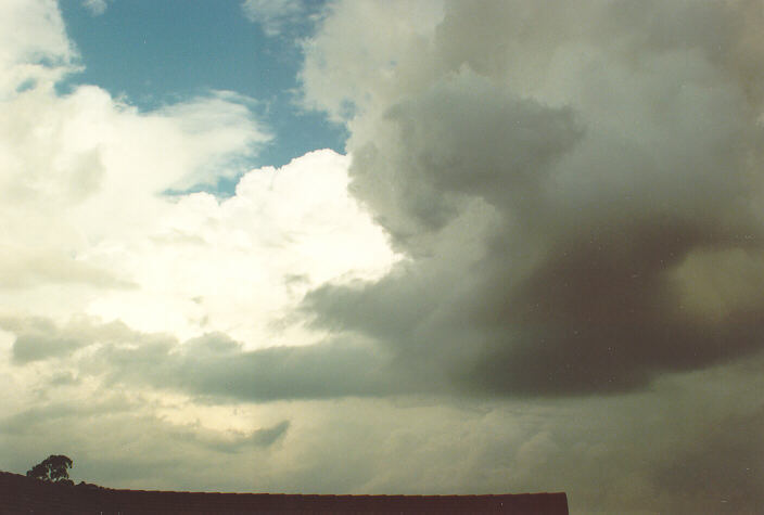 thunderstorm cumulonimbus_calvus : Oakhurst, NSW   14 December 1991