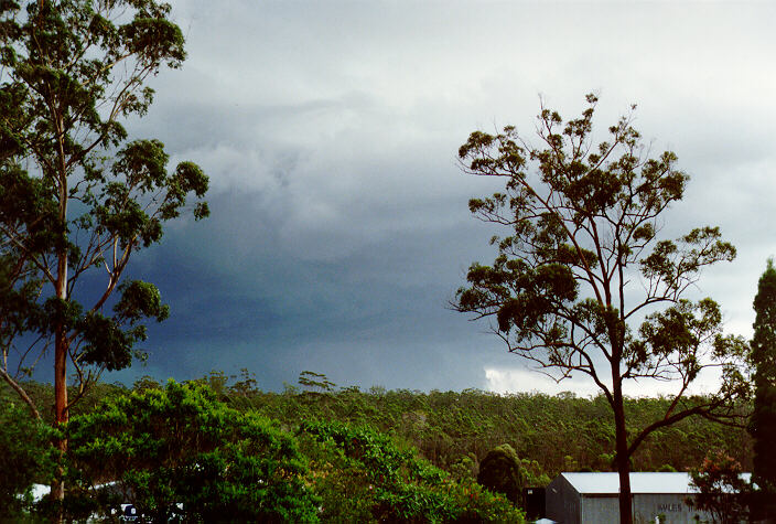 shelfcloud shelf_cloud : South Kempsey, NSW   21 December 1991