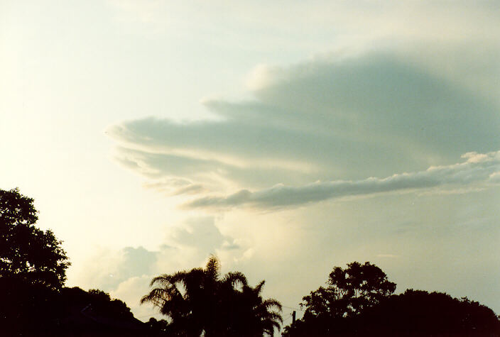 thunderstorm cumulonimbus_incus : Ballina, NSW   2 January 1992