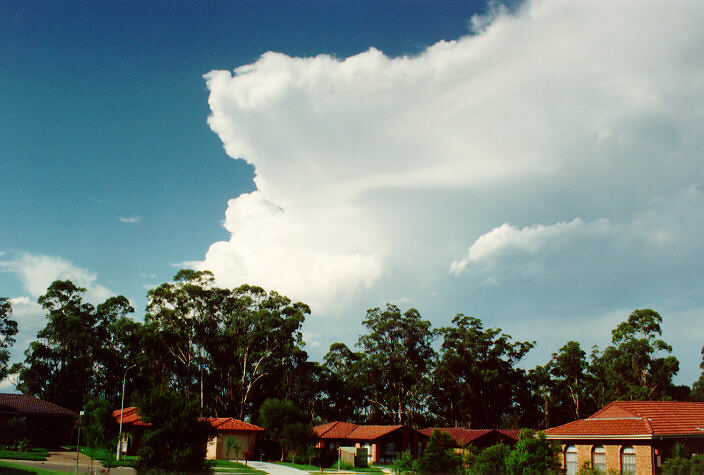 thunderstorm cumulonimbus_incus : Oakhurst, NSW   11 February 1992