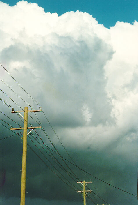 cumulus congestus : Ballina, NSW   1 September 1992