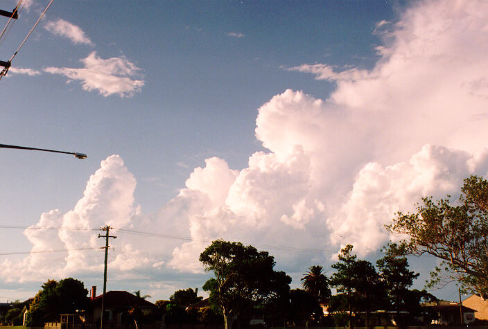 thunderstorm cumulonimbus_calvus : Ballina, NSW   28 December 1992