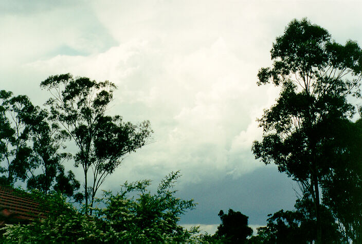 thunderstorm cumulonimbus_incus : Oakhurst, NSW   23 October 1993