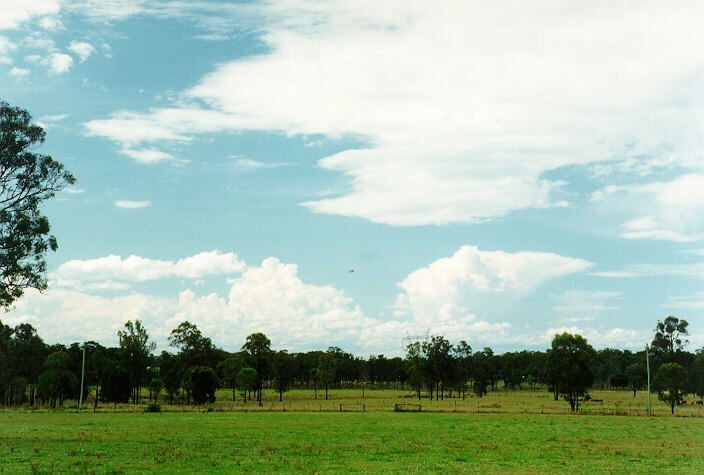 thunderstorm cumulonimbus_calvus : Marsden Park, NSW   18 November 1993
