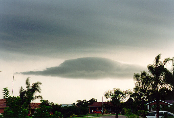 rollcloud roll_cloud : Oakhurst, NSW   24 November 1993