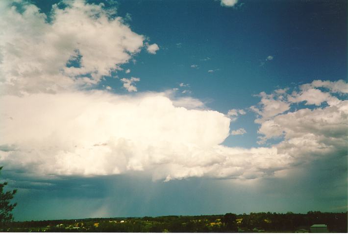 thunderstorm cumulonimbus_calvus : Schofields, NSW   26 December 1993