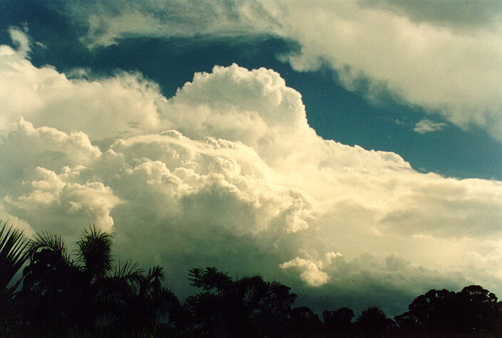 thunderstorm cumulonimbus_calvus : Oakhurst, NSW   17 January 1994