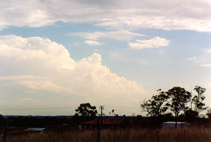 thunderstorm cumulonimbus_calvus : Schofields, NSW   5 February 1994