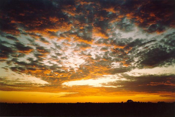 altocumulus altocumulus_cloud : Schofields, NSW   6 February 1994