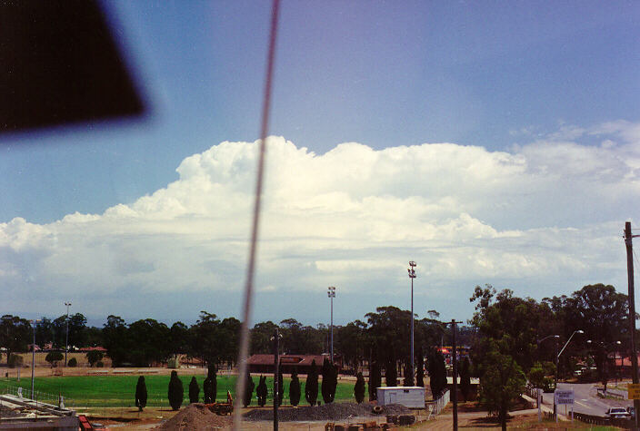 thunderstorm cumulonimbus_calvus : Blacktown, NSW   6 February 1994