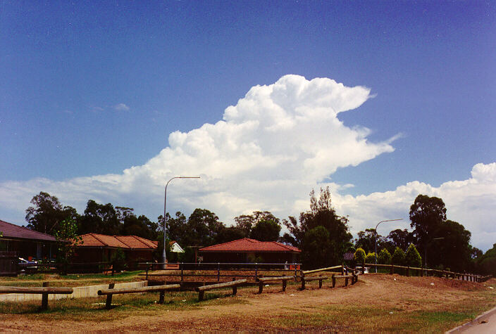 cumulus congestus : Blacktown, NSW   6 February 1994