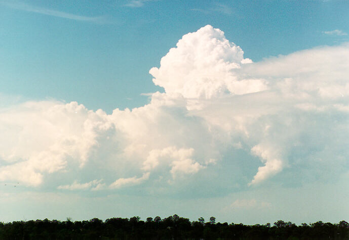 cumulus congestus : Schofields, NSW   6 February 1994