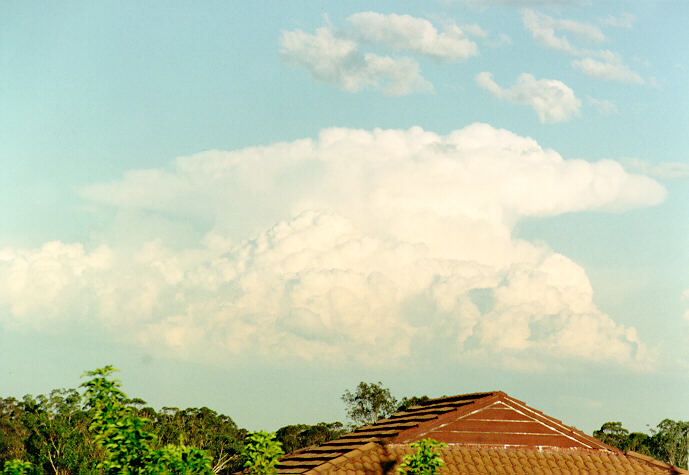 thunderstorm cumulonimbus_incus : Oakhurst, NSW   16 February 1994