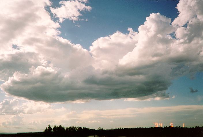 cumulus mediocris : Schofields, NSW   1 May 1994