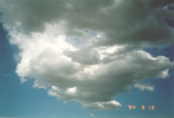 cumulus mediocris : Schofields, NSW   13 September 1994