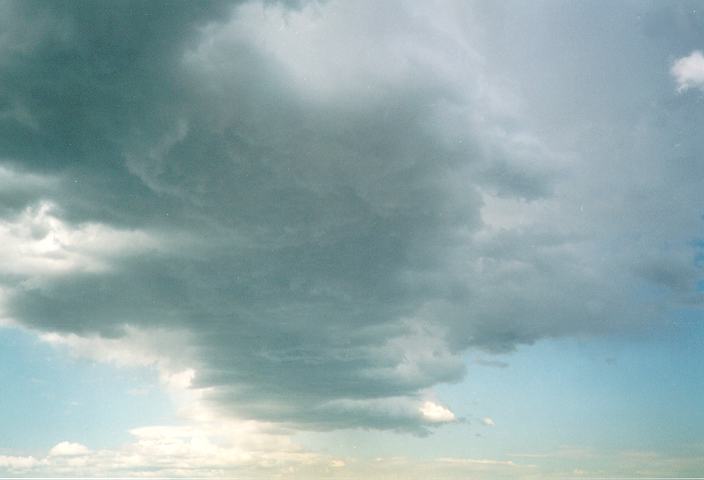 cumulus congestus : Schofields, NSW   13 September 1994