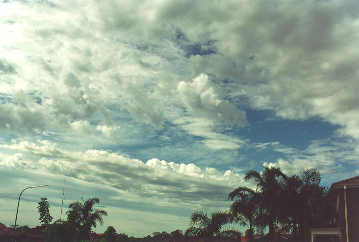 altocumulus castellanus : Oakhurst, NSW   20 November 1994