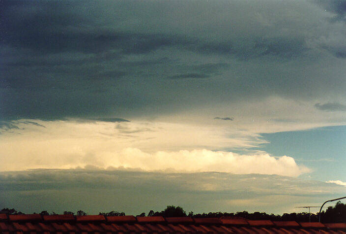 thunderstorm cumulonimbus_incus : Oakhurst, NSW   20 November 1994