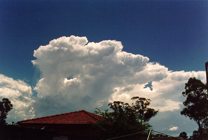 cumulus congestus : Oakhurst, NSW   26 November 1994