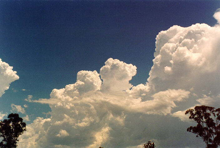 cumulus congestus : Oakhurst, NSW   26 November 1994