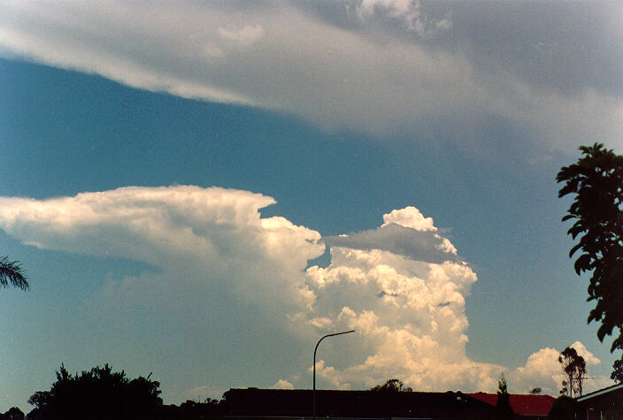 thunderstorm cumulonimbus_calvus : Oakhurst, NSW   26 November 1994