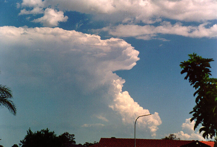 thunderstorm cumulonimbus_incus : Oakhurst, NSW   26 November 1994
