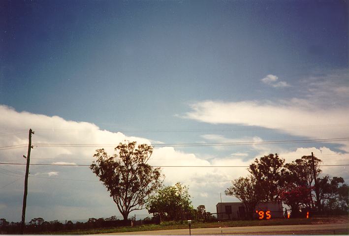 thunderstorm cumulonimbus_calvus : Schofields, NSW   1 January 1995