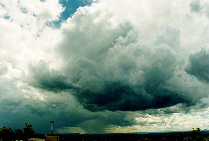 thunderstorm cumulonimbus_calvus : Riverstone, NSW   29 January 1995