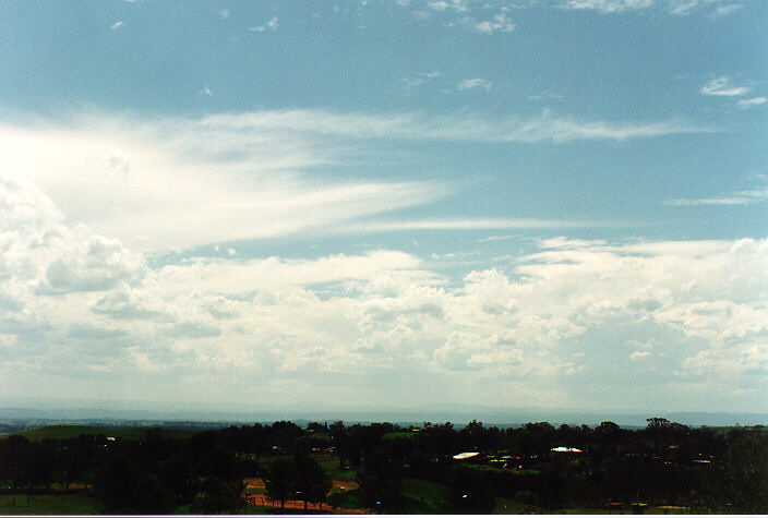 cumulus mediocris : Kemps Creek, NSW   5 February 1995