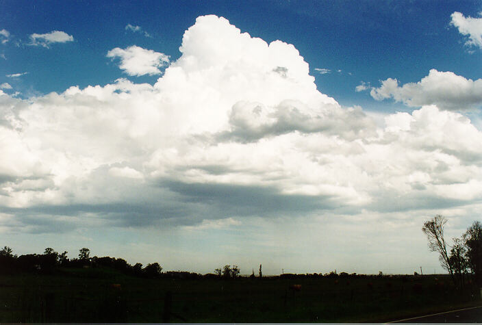 thunderstorm cumulonimbus_calvus : Castlereagh, NSW   5 February 1995