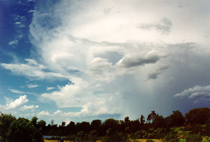 thunderstorm cumulonimbus_incus : Richmond, NSW   5 February 1995