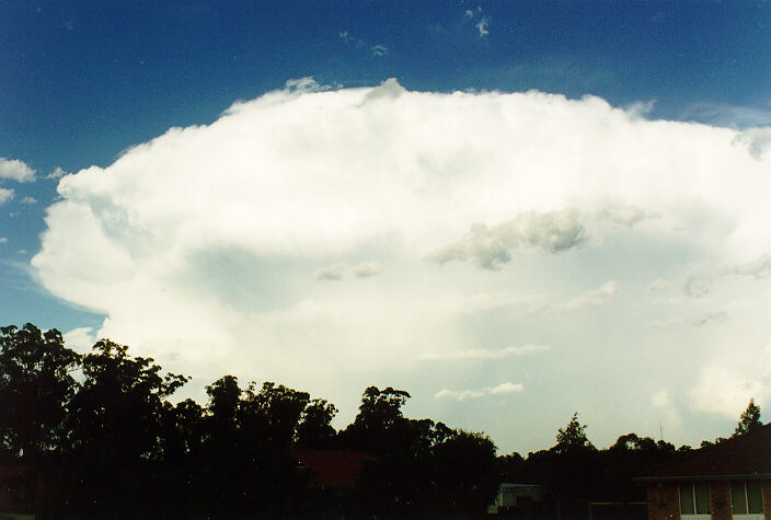 thunderstorm cumulonimbus_incus : Oakhurst, NSW   5 February 1995