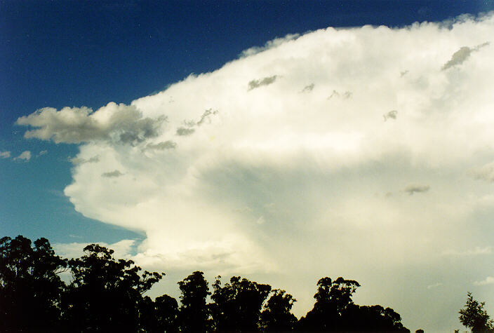 thunderstorm cumulonimbus_incus : Oakhurst, NSW   5 February 1995