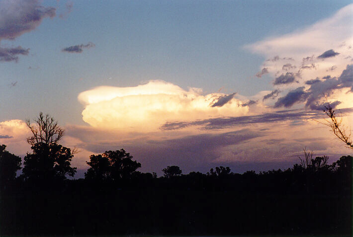 sunset sunset_pictures : Marsden Park, NSW   5 February 1995