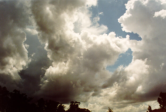 cumulus congestus : Oakhurst, NSW   11 February 1995