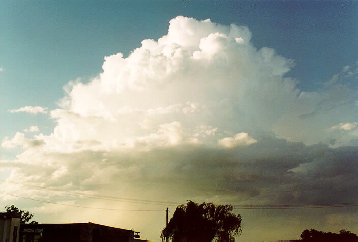 thunderstorm cumulonimbus_calvus : Schofields, NSW   22 February 1995