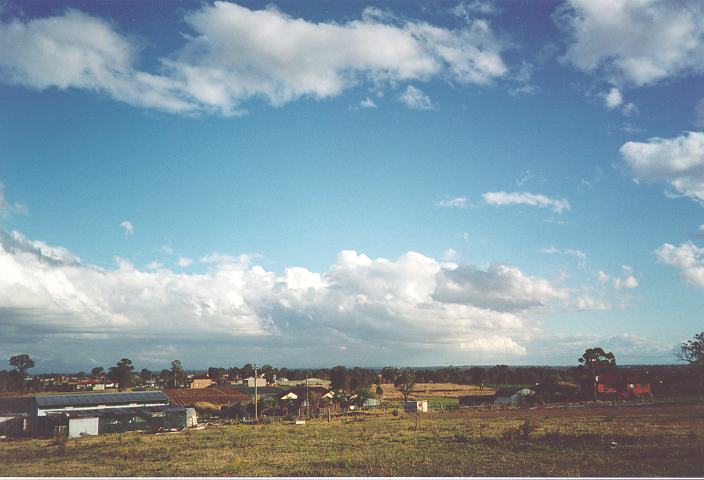 cumulus mediocris : Schofields, NSW   5 September 1995