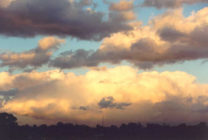 cumulus mediocris : Oakhurst, NSW   5 September 1995
