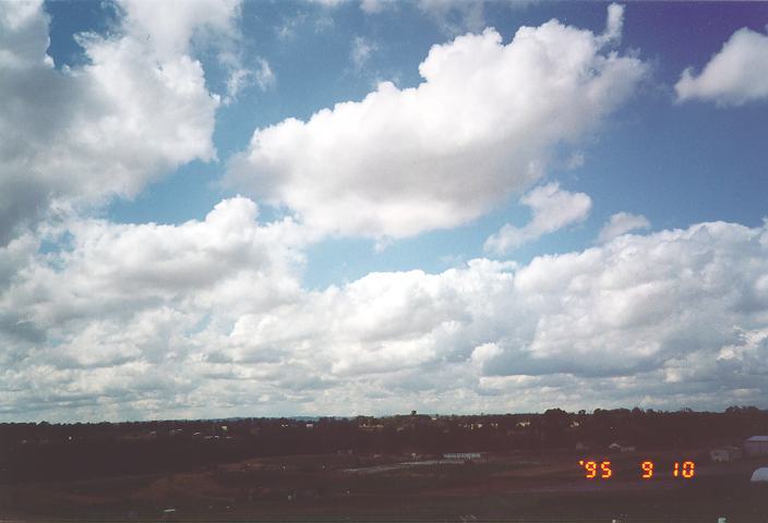 cumulus mediocris : Schofields, NSW   10 September 1995